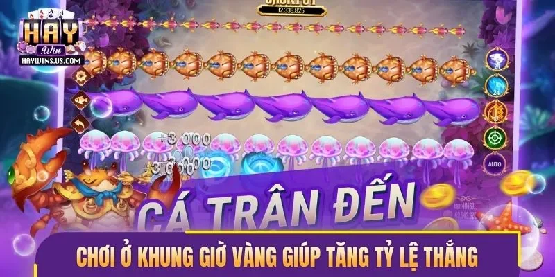 Chơi ở khung giờ vàng giúp tăng tỷ lệ thắng