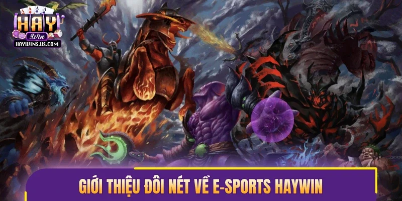 Giới thiệu đôi nét về E-sports Haywin