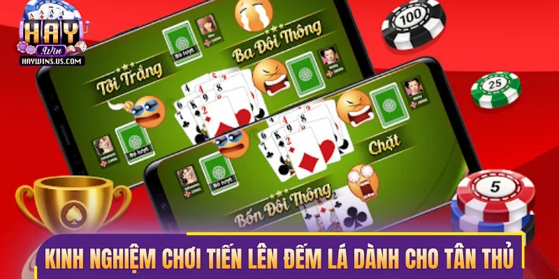 Kinh nghiệm chơi tiến lên đếm lá dành cho tân thủ